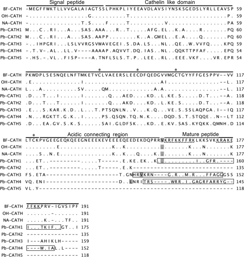 FIG 1