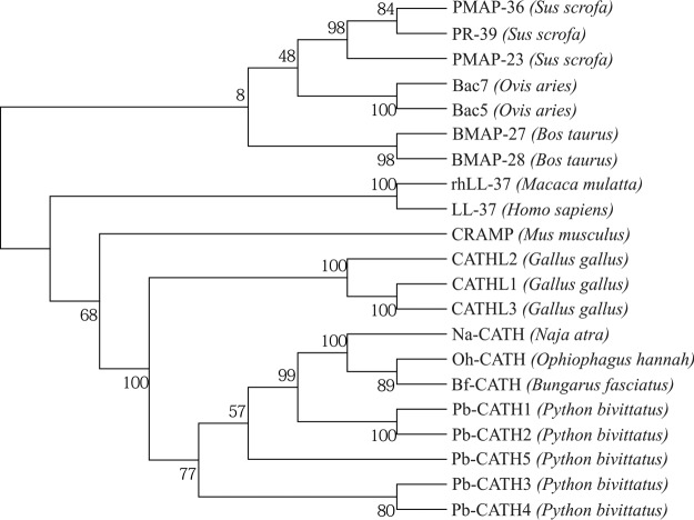 FIG 2