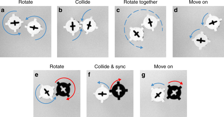 Fig. 3