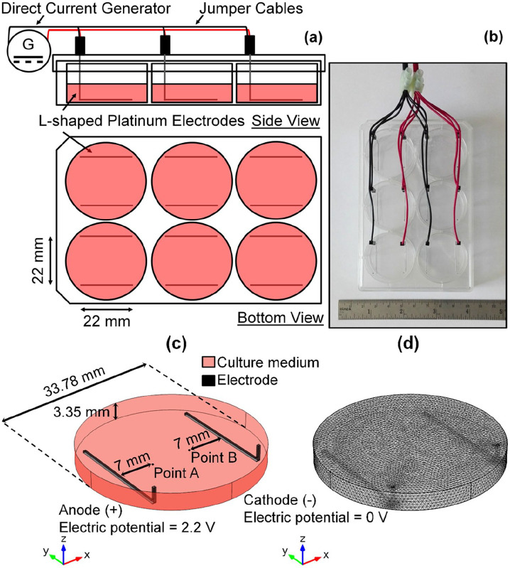 Figure 1.