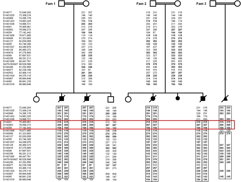 Figure 1