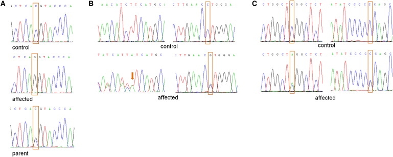 Figure 2