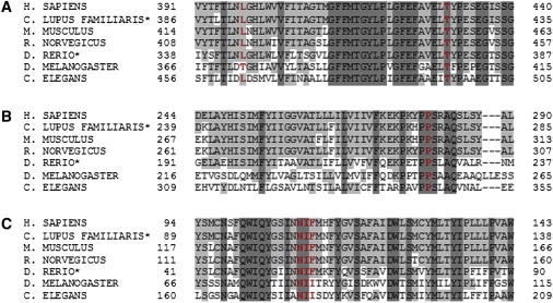 Figure 3