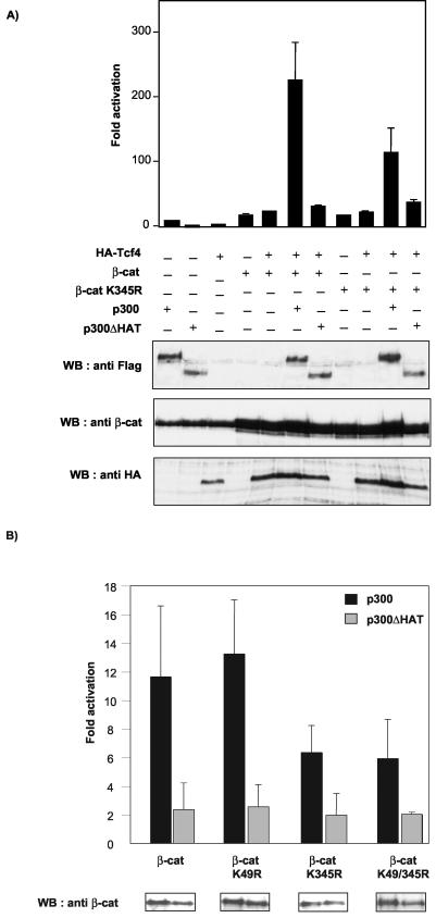 FIG. 7.