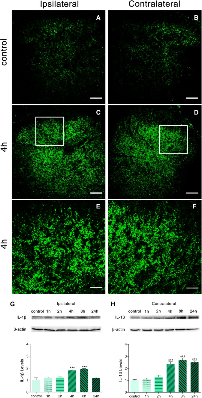 Fig. 3