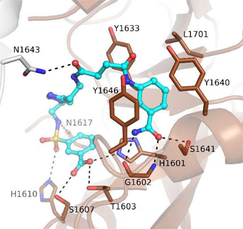 Figure 12