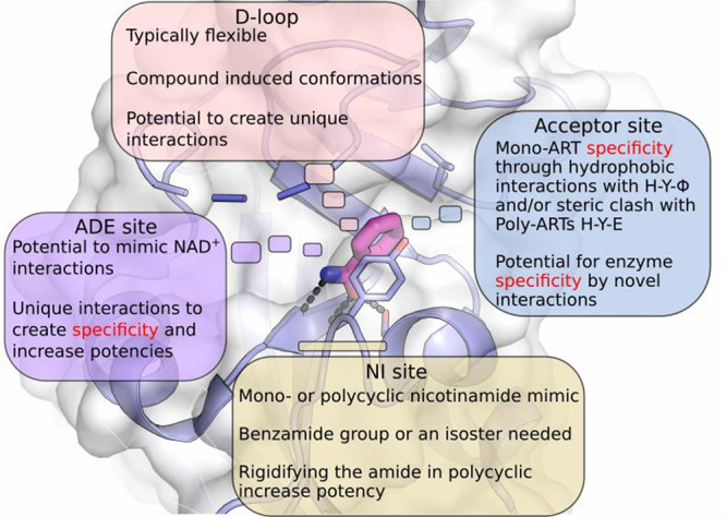 Figure 24