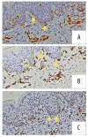 Figure 6.
