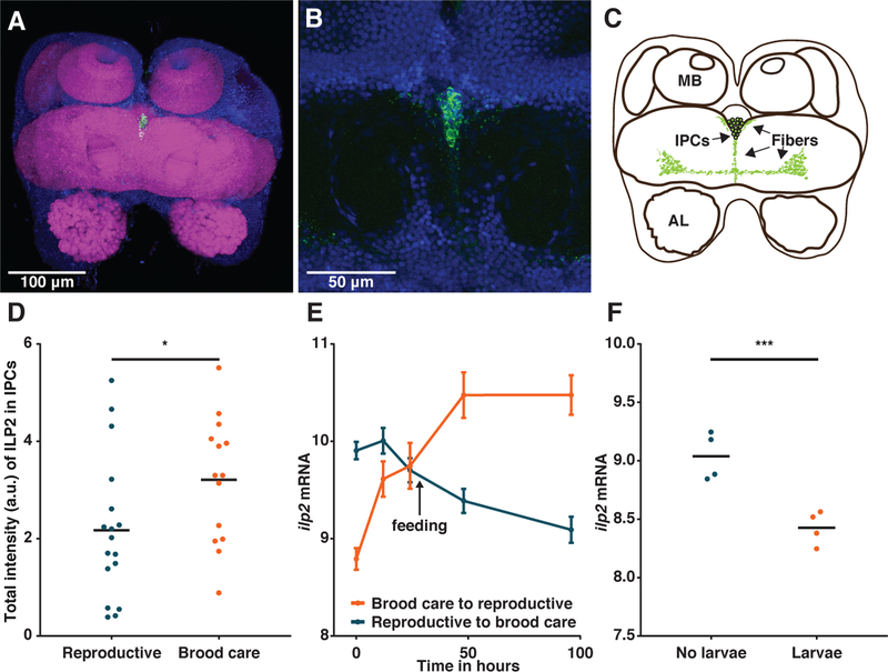 Figure 2: