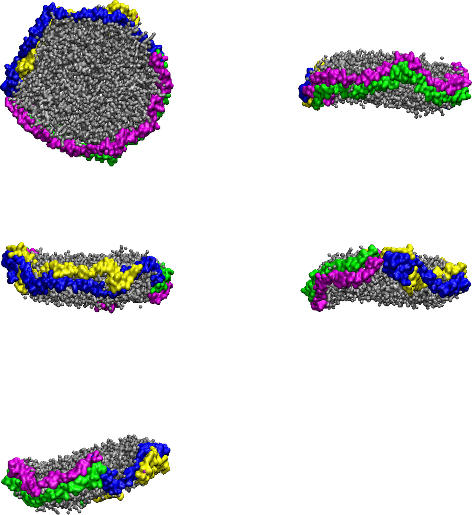 Fig. 2.