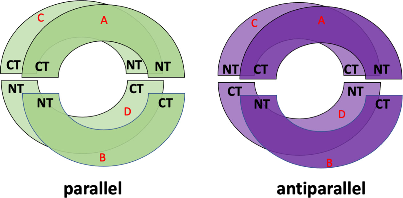 Fig. 1.