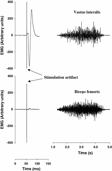 Fig. 8