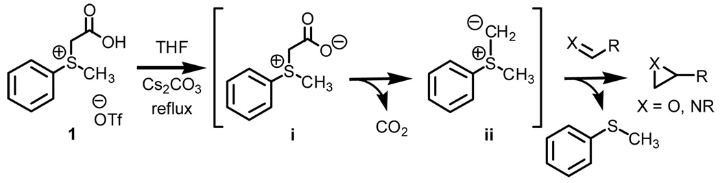 Scheme 1