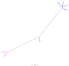 CSI Phylogeny analysis