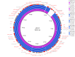 BRIG analysis pSLA5