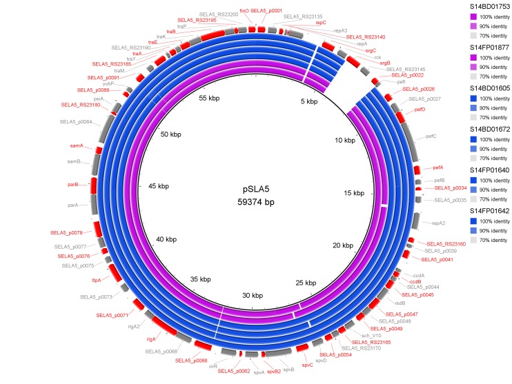 De novo assemblies of reads of the outbreak isolates that did not map to S. Enteritidis P125109 are shown as concentric rings with plasmid pSLA5 as reference on the inner black circle. Absence of colour in a ring indicates absence of the region. Isolates of the outbreak in Flanders are represented by a blue colour, those of the Walloon outbreak by a purple colour.