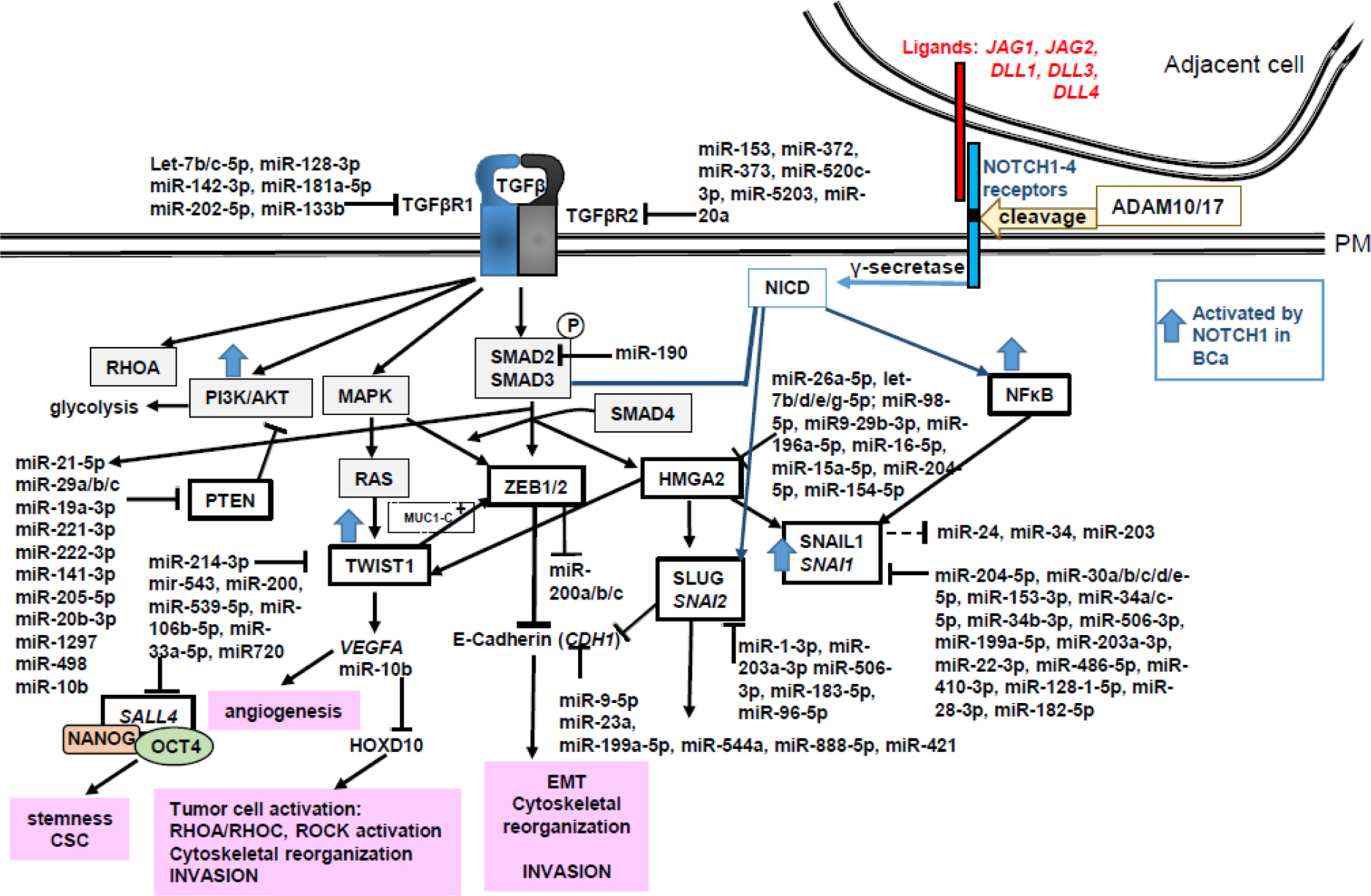 Figure 3: