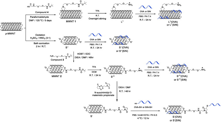 Scheme 1