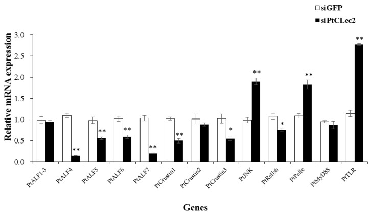 Figure 16