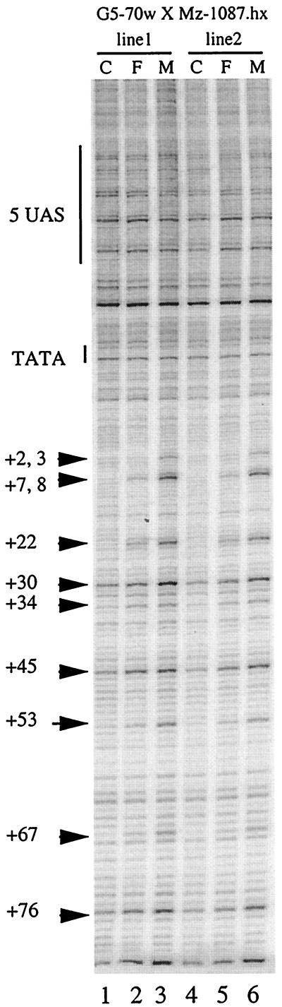 FIG. 6