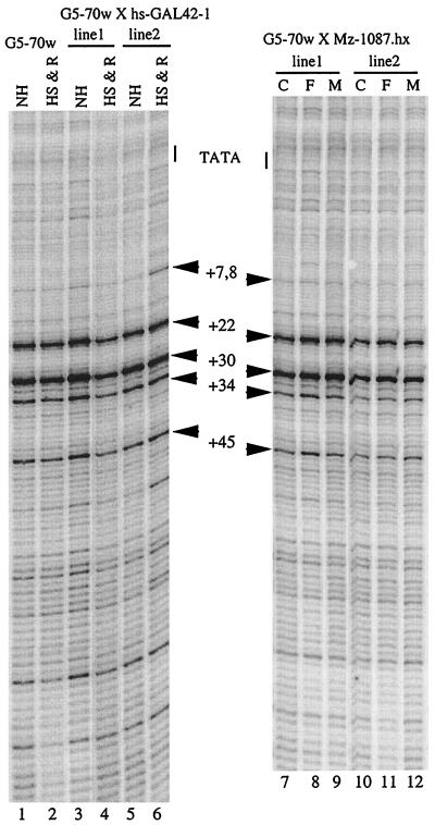 FIG. 7