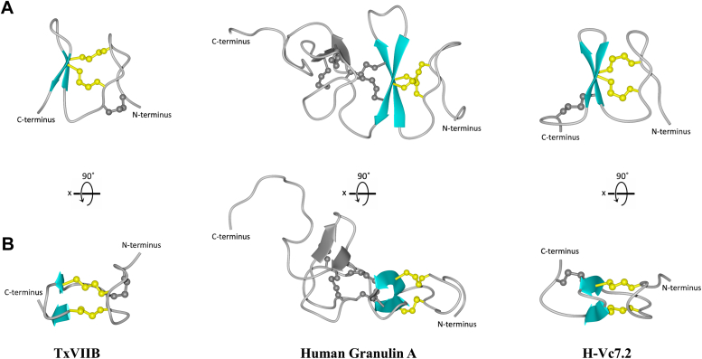 Figure 6