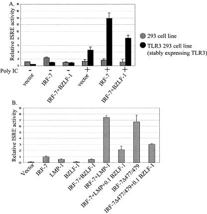 FIG. 8.