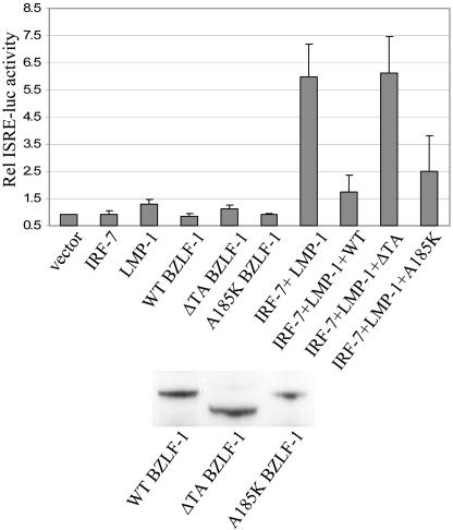 FIG. 7.