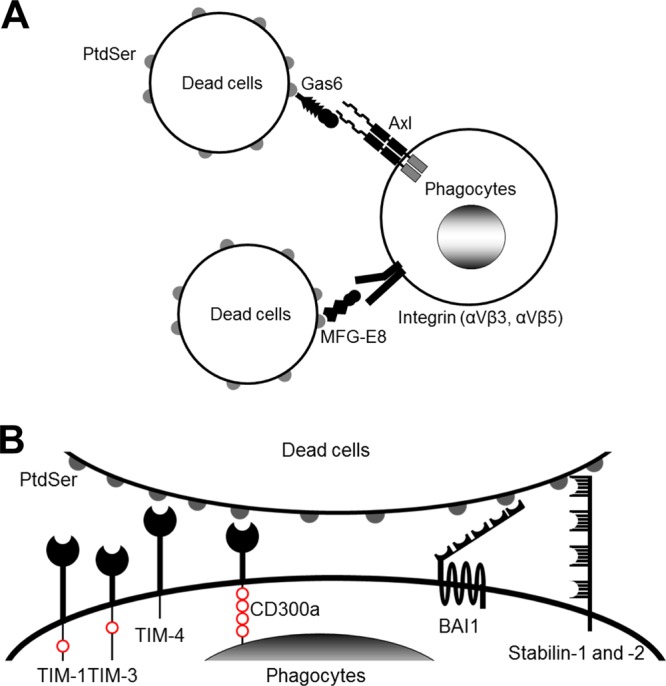 FIG 1