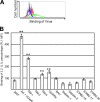 FIG 6