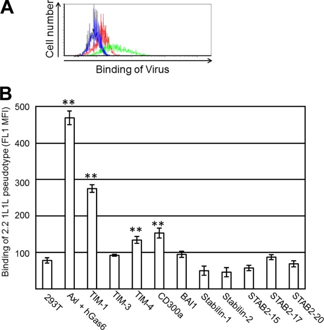 FIG 6