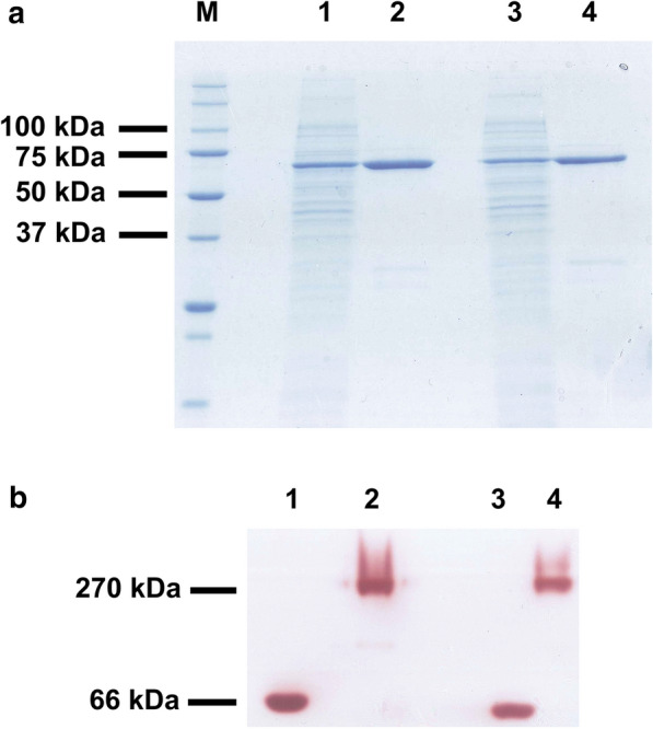 Fig. 1