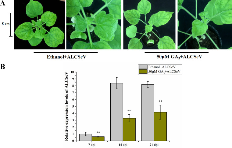 Fig 9