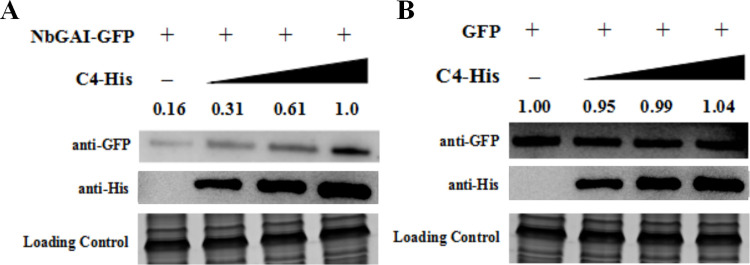 Fig 7