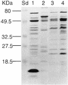 FIG. 7