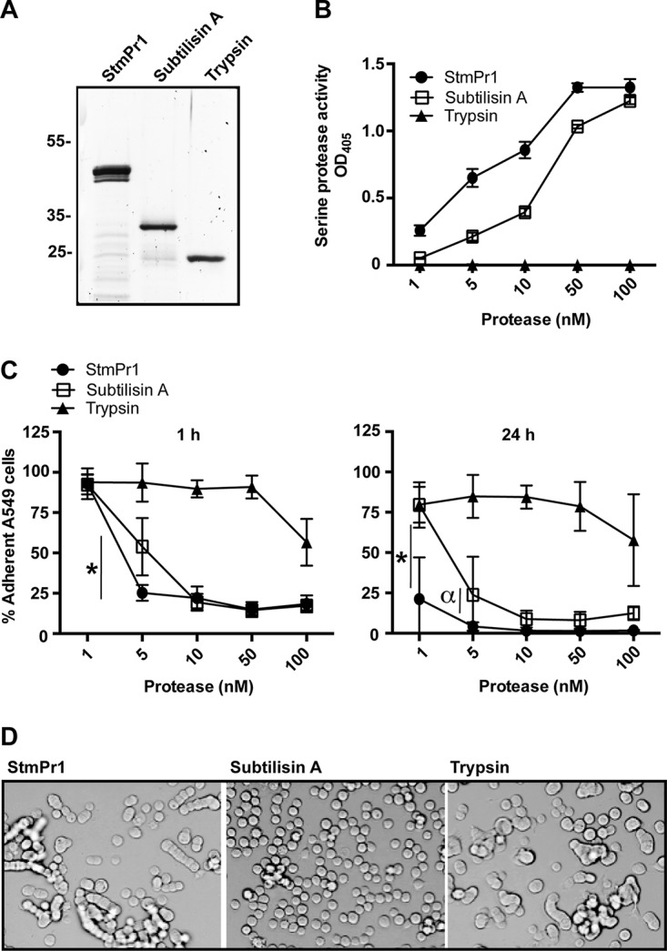 FIG 3