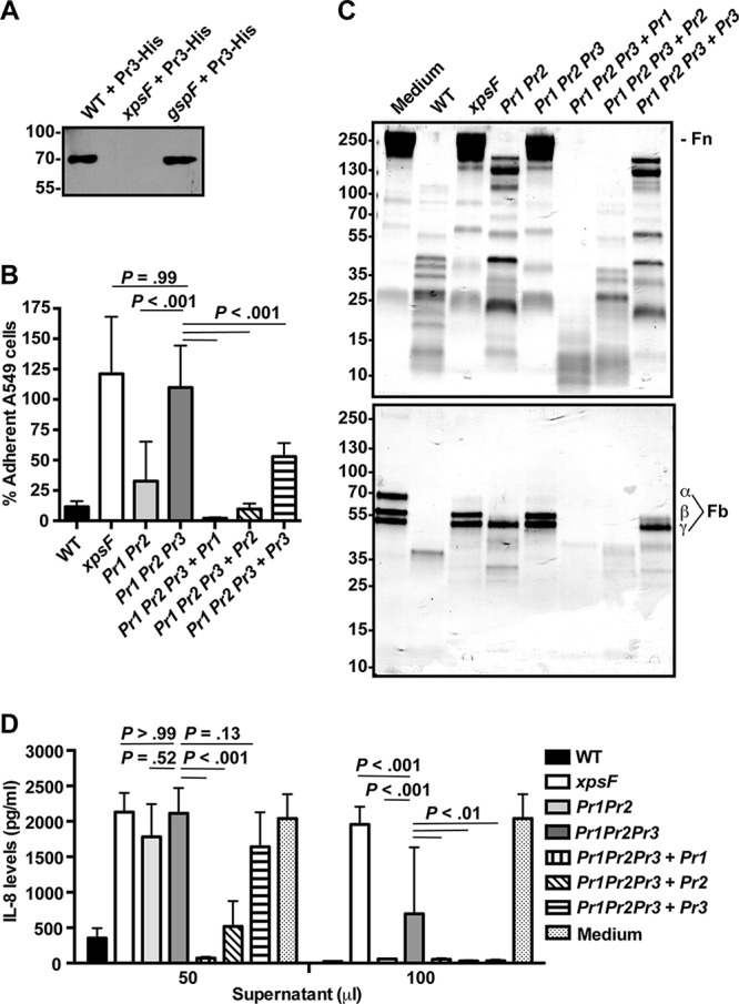 FIG 1