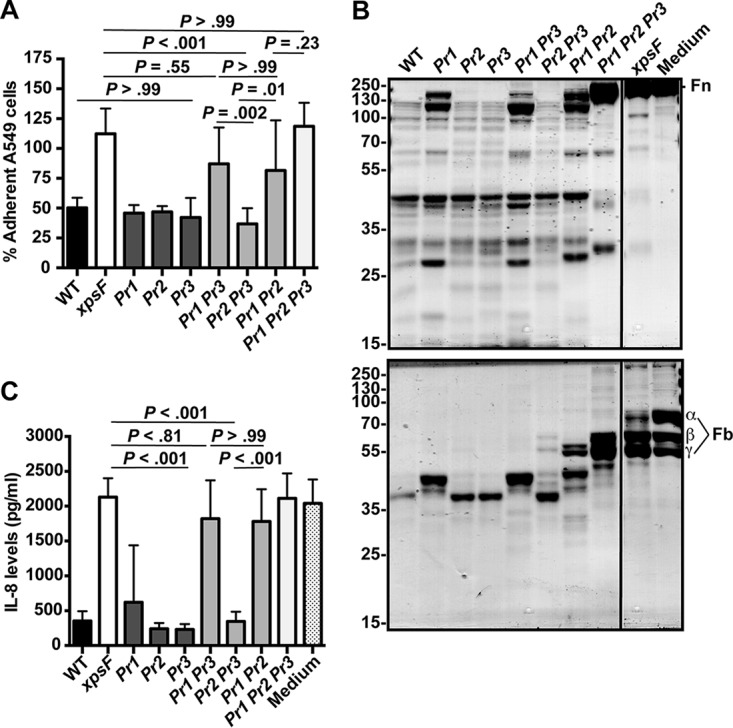 FIG 2