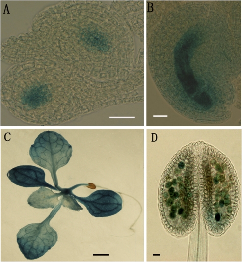 Fig. 5.