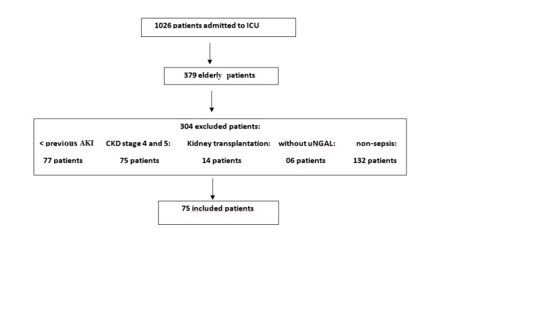 Figure 1.