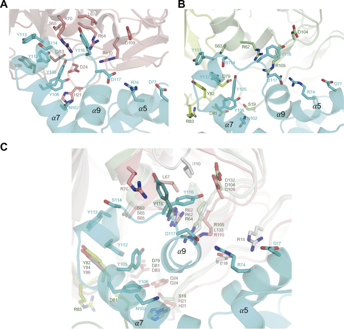 FIG 3