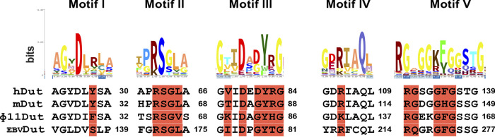 FIG 6