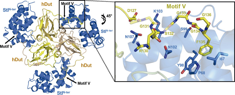 FIG 4