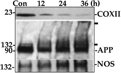 Fig 4.