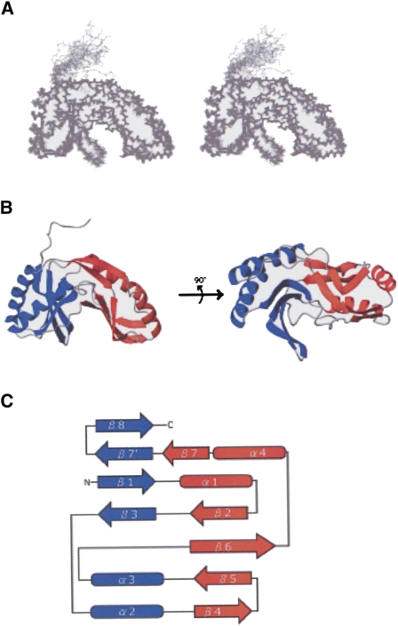 FIGURE 6.