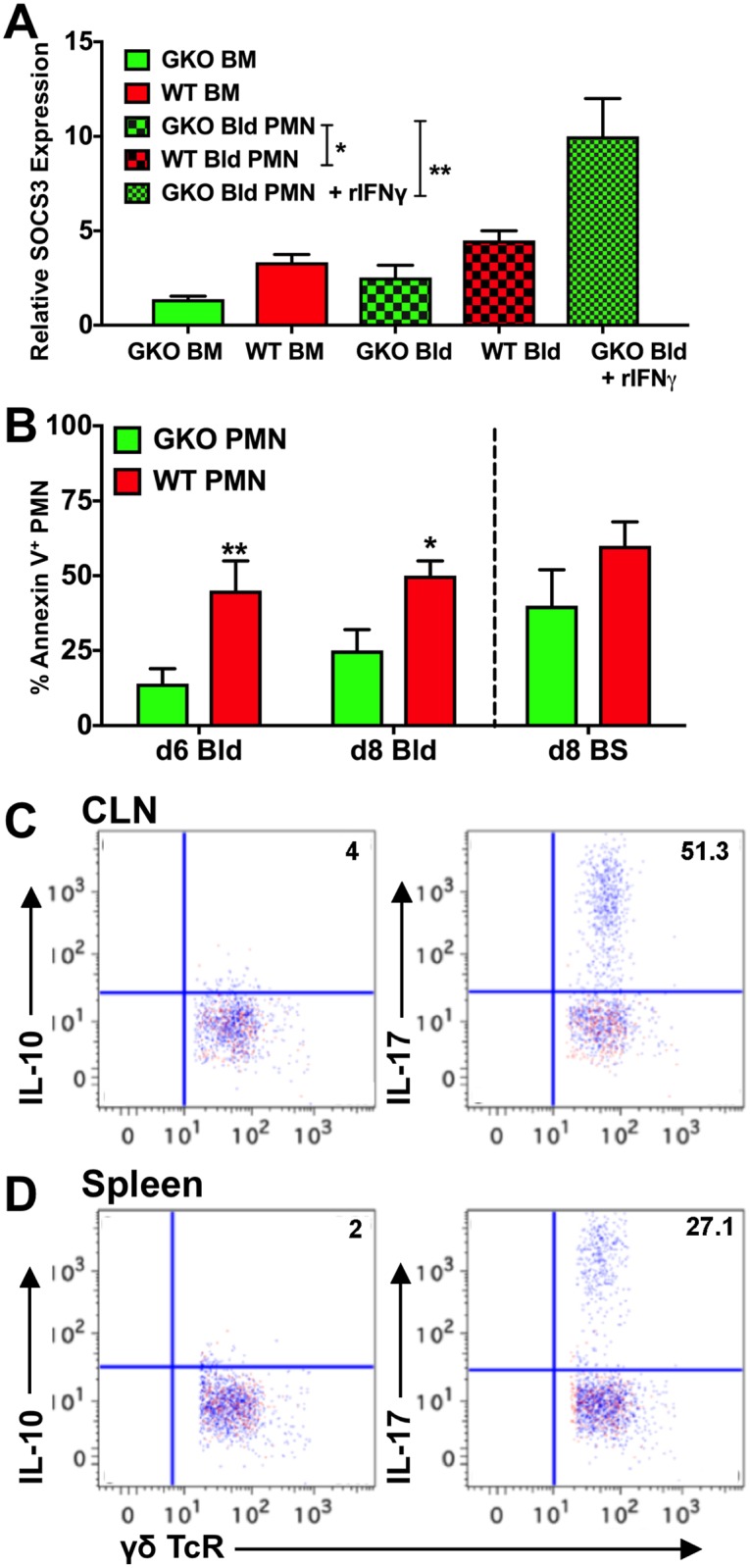 Fig 8