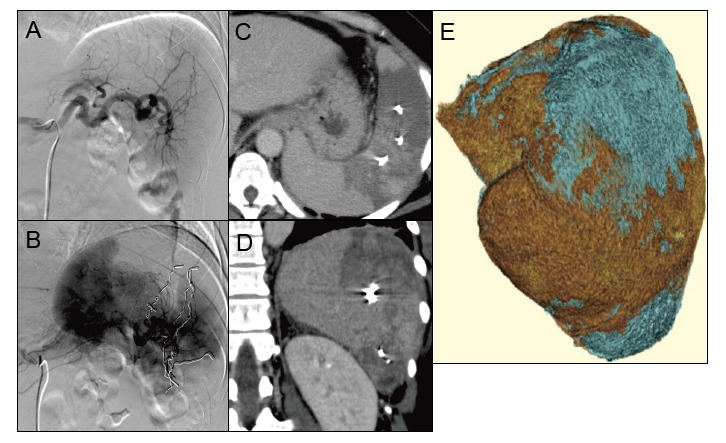 Fig. 4.