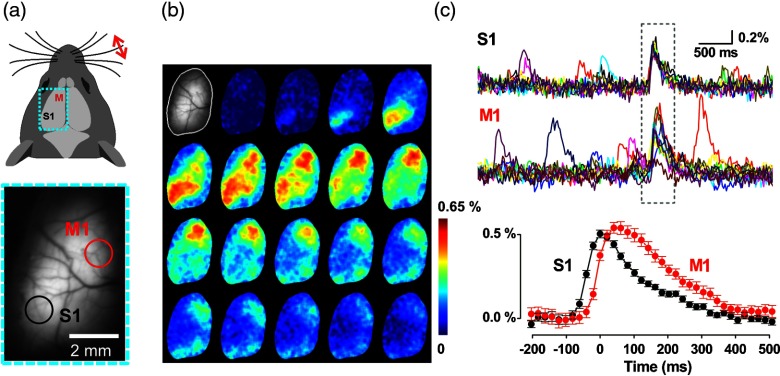 Fig. 3