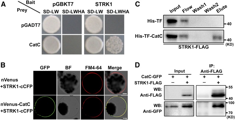 Figure 3.