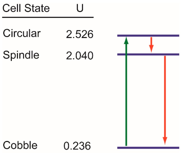 Figure 8